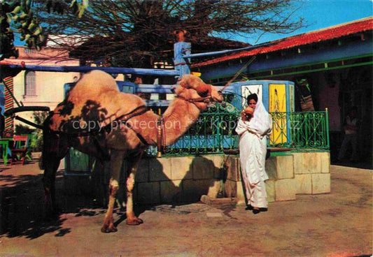 74015966 La Marsa Tunis Tunesie Café du Saf-Saf Kamel