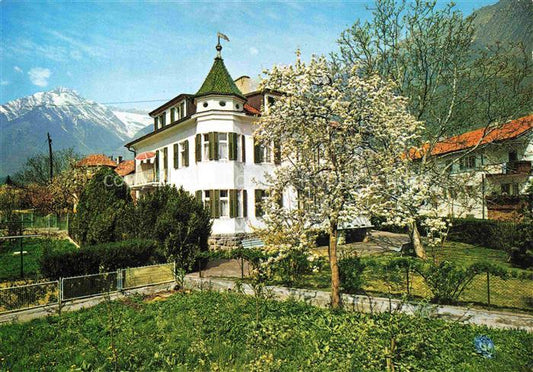 74023222 Algund Merano Suedtirol IT Pension Villa Scheiber Baumbluete