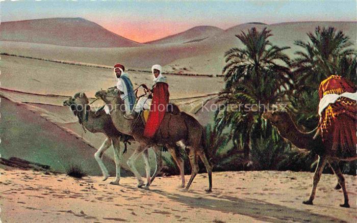 74014165 Kamele  Camel Chameau-- l'afrique du Nord Maroc Marokko Wueste