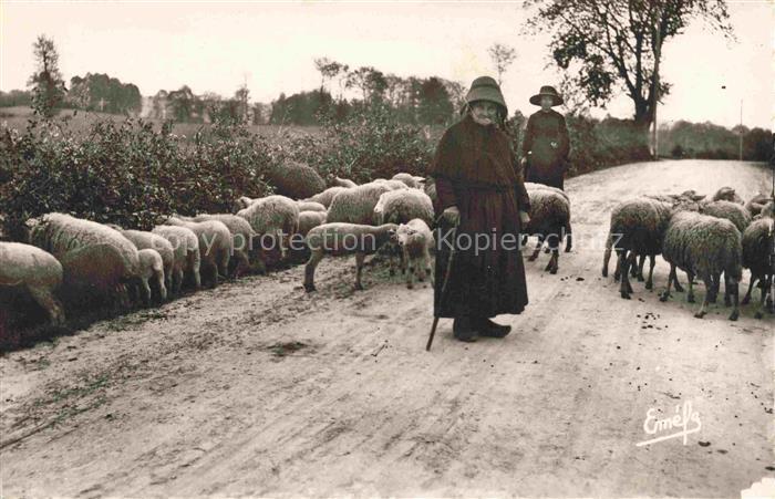 74014173 Schaeferei Sheperding Bergerie-- Pays Marchois Vieilles bergeres creuso