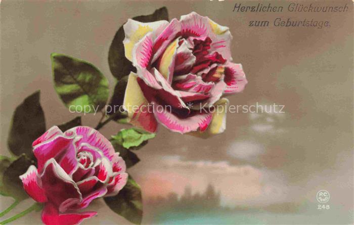 74019934 Foto PC Paris Nr. 248 Glueckwunsch Geburtstag Rosen