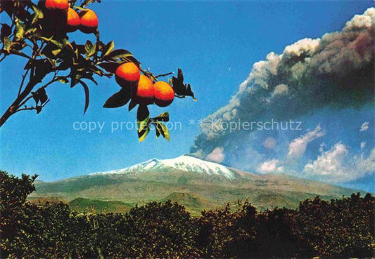 74024092 Orangen Oranges Naranjas Sicilia