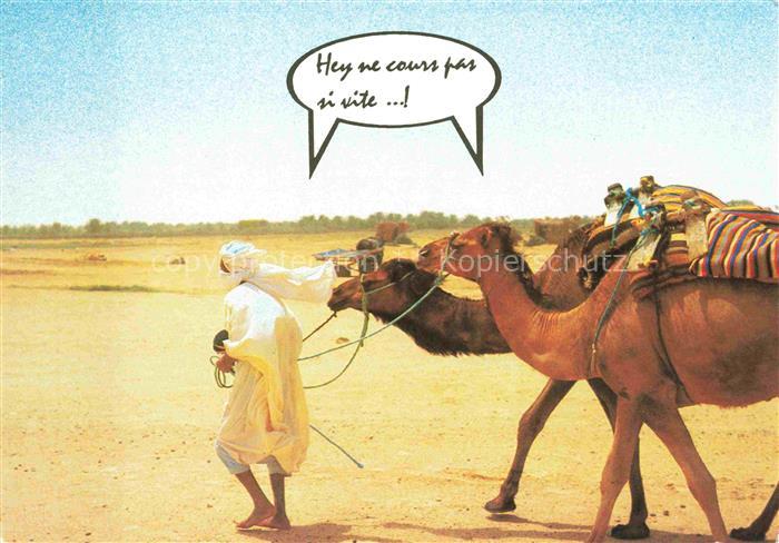 74020935 Kamele  Camel Chameau-- Tunesien Wueste