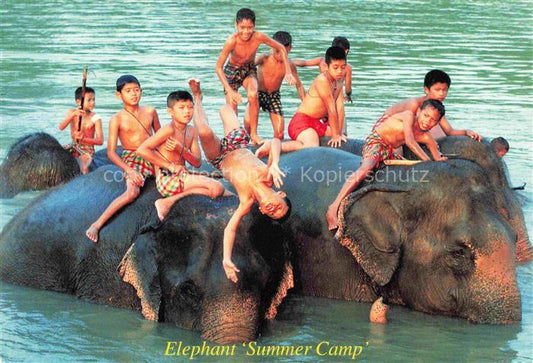 74021434 Elefant Kinder Summer Camp Ayutthaya Thailand