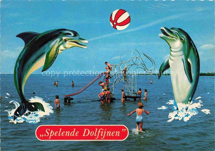 74021458 Delfine Delphine Dolphins Dauphins Delfines Harderwijk