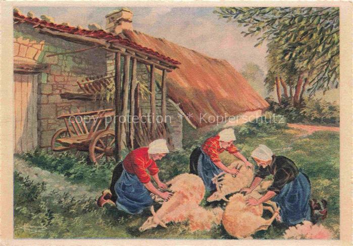 74021852 Schaeferei Sheperding Bergerie-- Tonte des Moutons France Litho