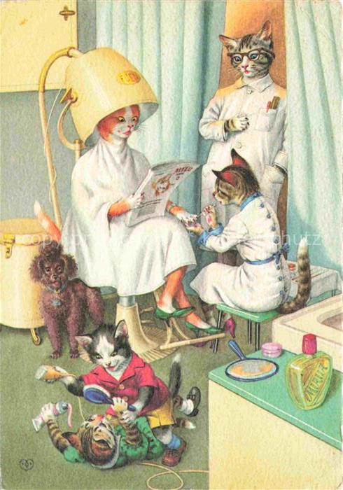 74021948 Katzen Friseur Schminken Hund Belgium