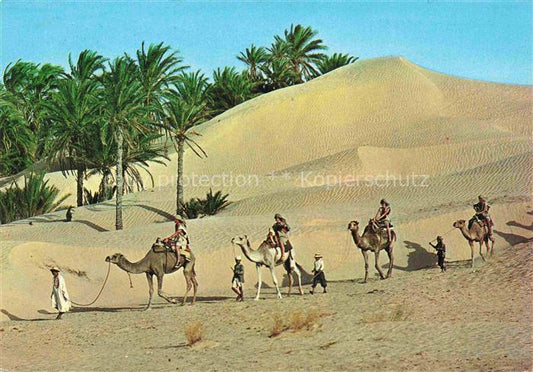 74023259 Kamele  Camel Chameau-- Tunisien Caravane in Sahara