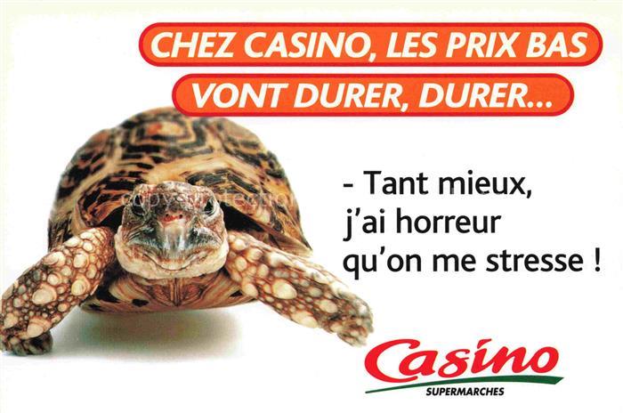 74023271 Schildkroeten Casino supermarches