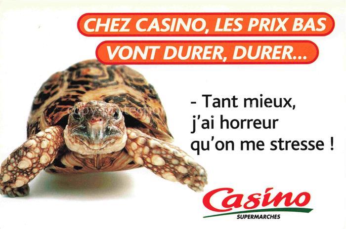 74023272 Schildkroeten Casino supermarches