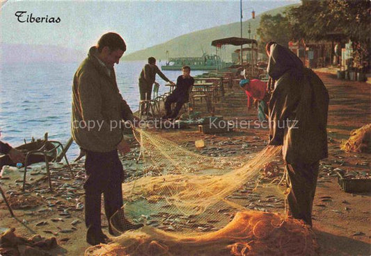 74024689 Tiberias Israel Sea of Galilee Fishermen drawing in their nets at the w