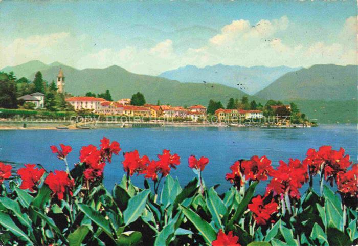 74026550 Baveno Lago Maggiore IT Panorama Blumenpracht