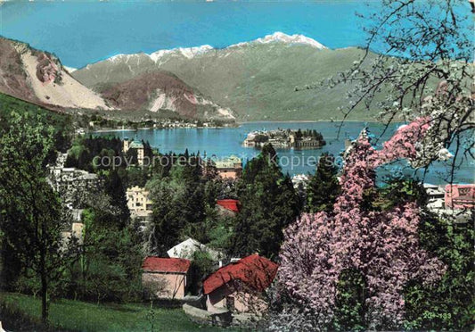 74026778 Stresa Borromeo Lago Maggiore IT e Isola Bella Baumbluete