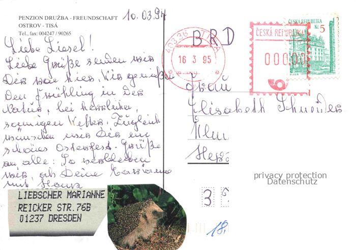 74027669 Ostrov u Tise Eiland Erzgebirge CZ Penzion Druzba Freundschaft Gastraum