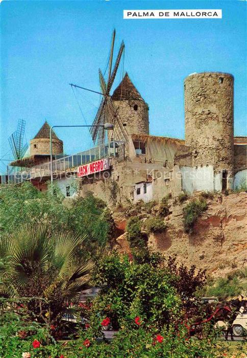 74028785 Palma de Mallorca ES Molinos del Jonquet