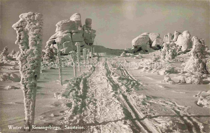 74029937 Schreiberhau Szklarska Poreba Riesengebirge PL Sausteine Winter im Ries