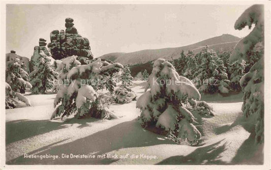 74029949 Schneekoppe Snezka CZ Die Dreisteine mit Blick auf die Koppe Winterland