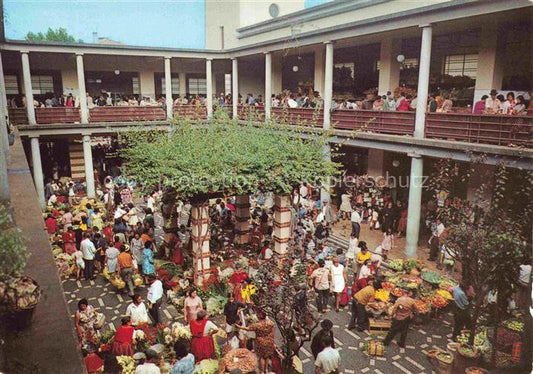 74031561 FUNCHAL Madeira PT Mercado