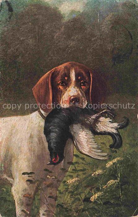 74027754 Jagd Chasse Hunting Hund Vogel