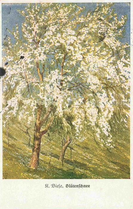 74027774 BIESE Carl Karl Kuenstlerlitho Bluetenschnee