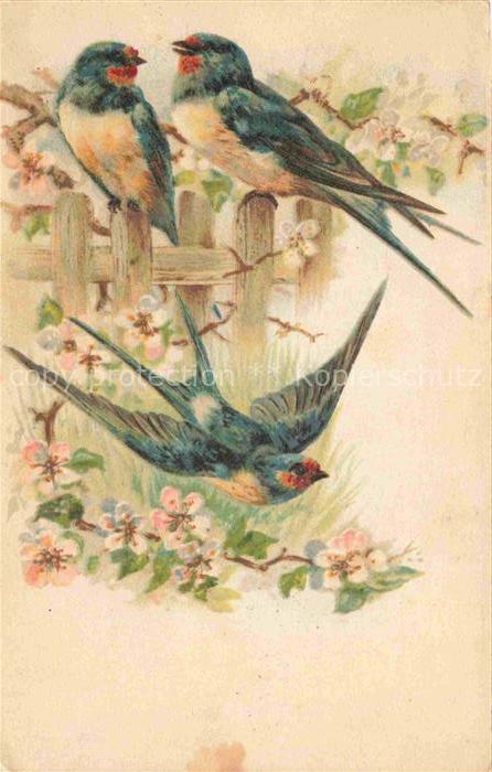 74028204 Schwalbe Swallow Hirondelle Golondria Voegel Birds Oiseaux Litho