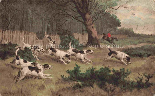 74028639 Jagd Chasse Hunting Hunde Bruxelles