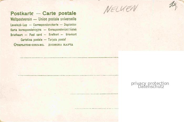 74029539 Nelken Carnations Oeillets Claveles Garofani-- Rot Weis