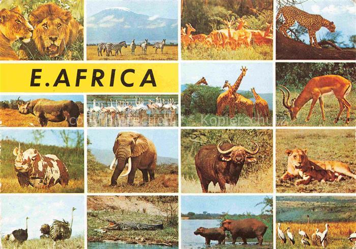 74031194 TIERE Animals Animaux Animales Animali-- E. Africa Elefant Girafe Tiege