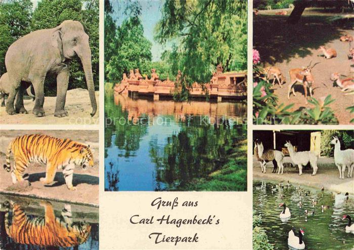 74031196 Zoo Gardin Zoologique-- Carl Hagenbeck Hamburg Stellingen