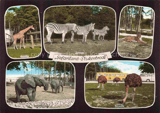 74032222 Zoo Gardin Zoologique-- Safariland Stukenbrock Strauss Elefant Zebra Gi