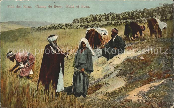 11735201 Israel Field of Boaz