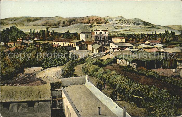 11735202 Jericho Israel general view