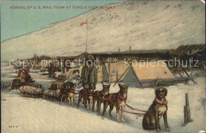 31735446 Circle Alaska Arrival of US Mail Team Hundeschlitten