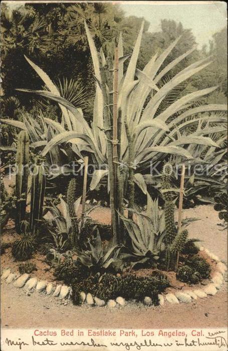 11674306 Los Angeles California Cactus Bed in Eastlake Park