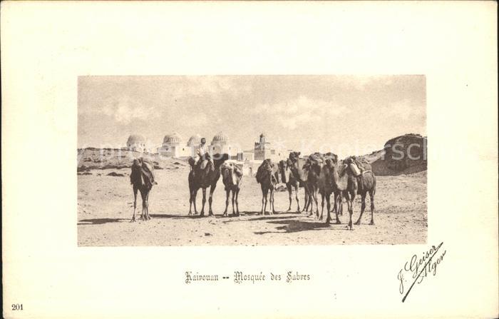 11674401 Kairouan Qairawan Mosquée des Chameaux Sabres