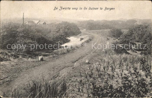 11758133 Bergen aan Zee De Zwarte dans les dunes