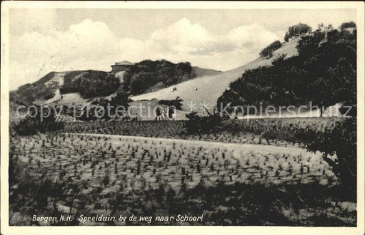 11758231 Bergen aan Zee Speelduin en passant par Schoorl Duene