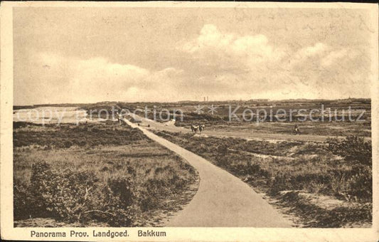 11758256 Bakkum Panorama Provinciaal Landgoed