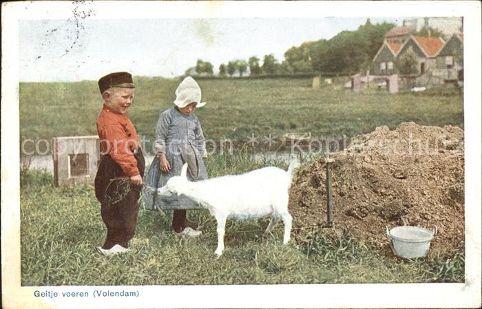 11761367 Volendam Geitje for children goat