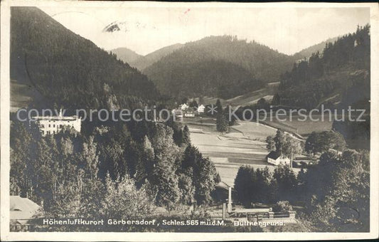 12175990 Goerbersdorf Schlesien Buettnergrund