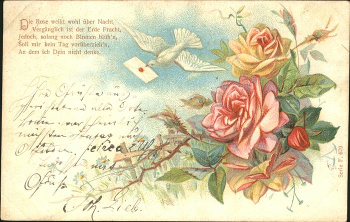 11335875 Doves Roses Letter Poem