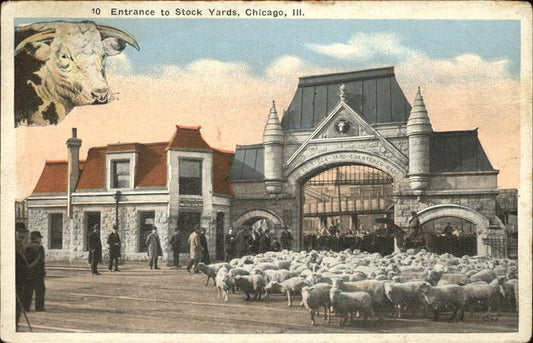 11322188 Chicago Illinois Entrance to Stock Yards sheep