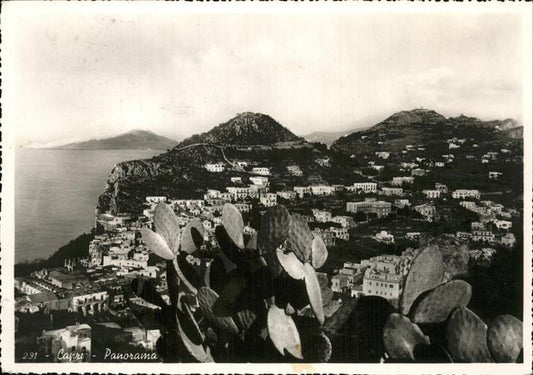 11475089 Capri Panorama