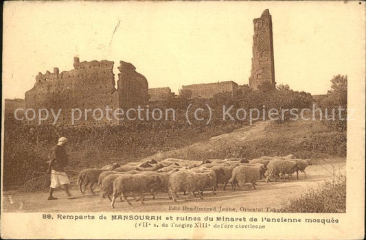 11520573 Remparts de Mansourah et ruines du minaret de l'ancienne mosquée