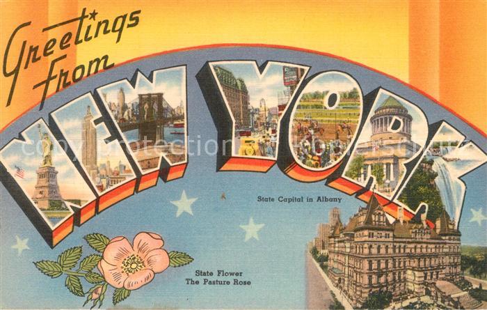 73589945 New York City Scenic vies of the city State Flower Pasture Rose State C