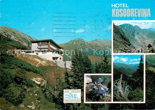 73633338 Tale Brezno Hotel Kosodrevina Flora Gebirgspanorama Niedere Tatra