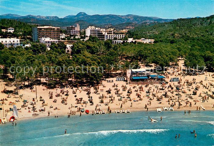 73644483 Paguera Mallorca Islas Baleares Playa de Tora vista aérea