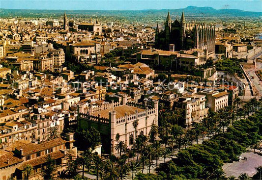 73685481 Palma de Mallorca Vista aerea del Paseo de Sagrera La Lonja y La Catedr