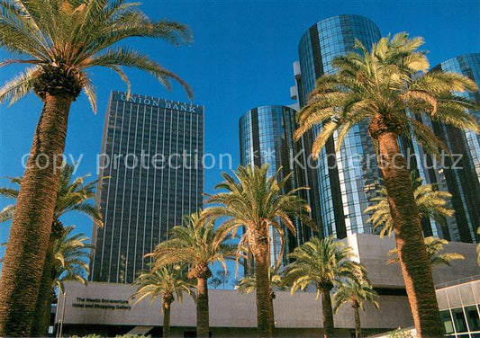 73716744 Los Angeles California Palm trees surrounding downtown Skyscrapers