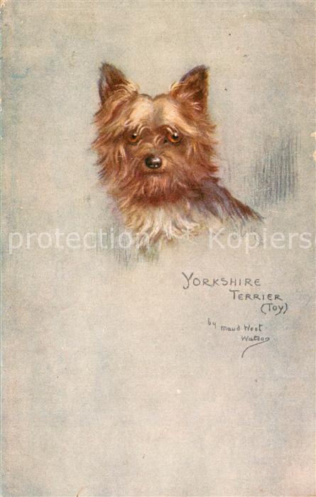 73791073 Verlag Tucks Oilette Serie Yorkshire Terrier